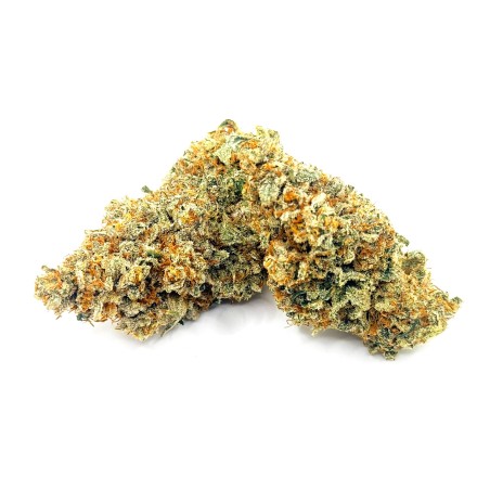 Daïfuku CBD Loud Co | Fleur CBD Indoor Sol Vivant