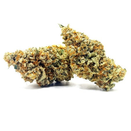 Daïfuku CBD Loud Co | Fleur CBD Indoor Sol Vivant