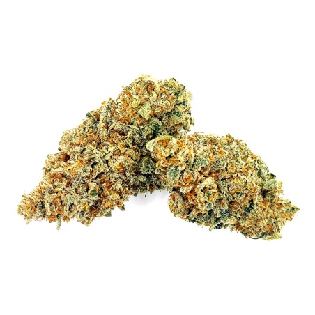 Daïfuku CBD Loud Co | Fleur CBD Indoor Sol Vivant