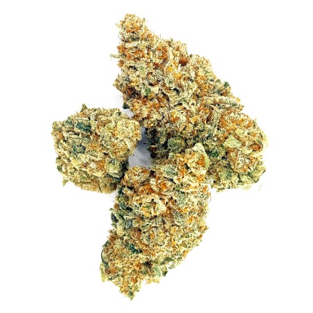 Daïfuku CBD Loud Co | Fleur CBD Indoor Sol Vivant