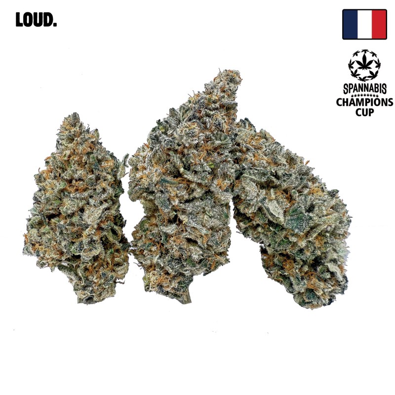 Legendary CBD – Fleur Premium Loud Co | 1ʳᵉ Spannabis 2025