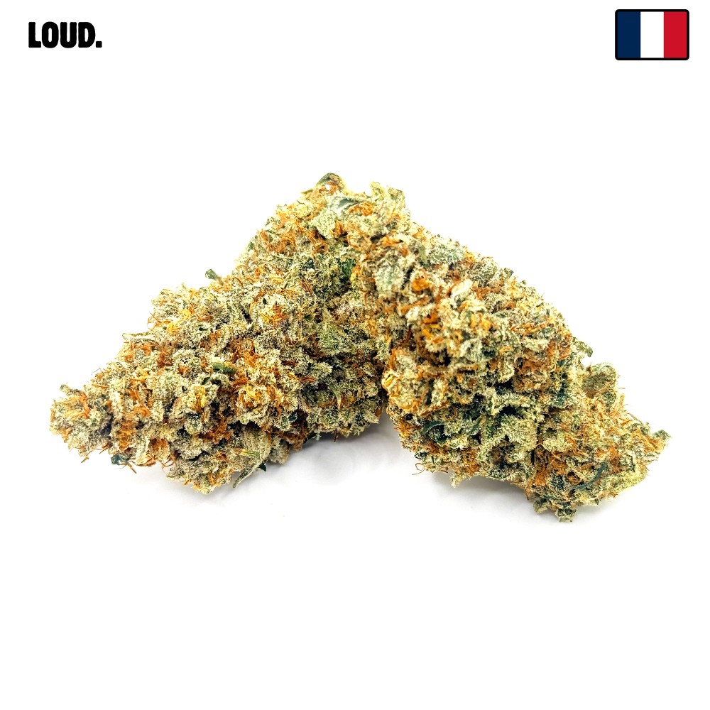 Daïfuku CBD Loud Co | Fleur CBD Indoor Sol Vivant