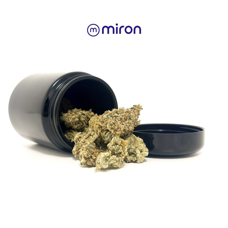 MIRON 250 mL Violetglass | Boîte anti-UV conservation fleurs CBD