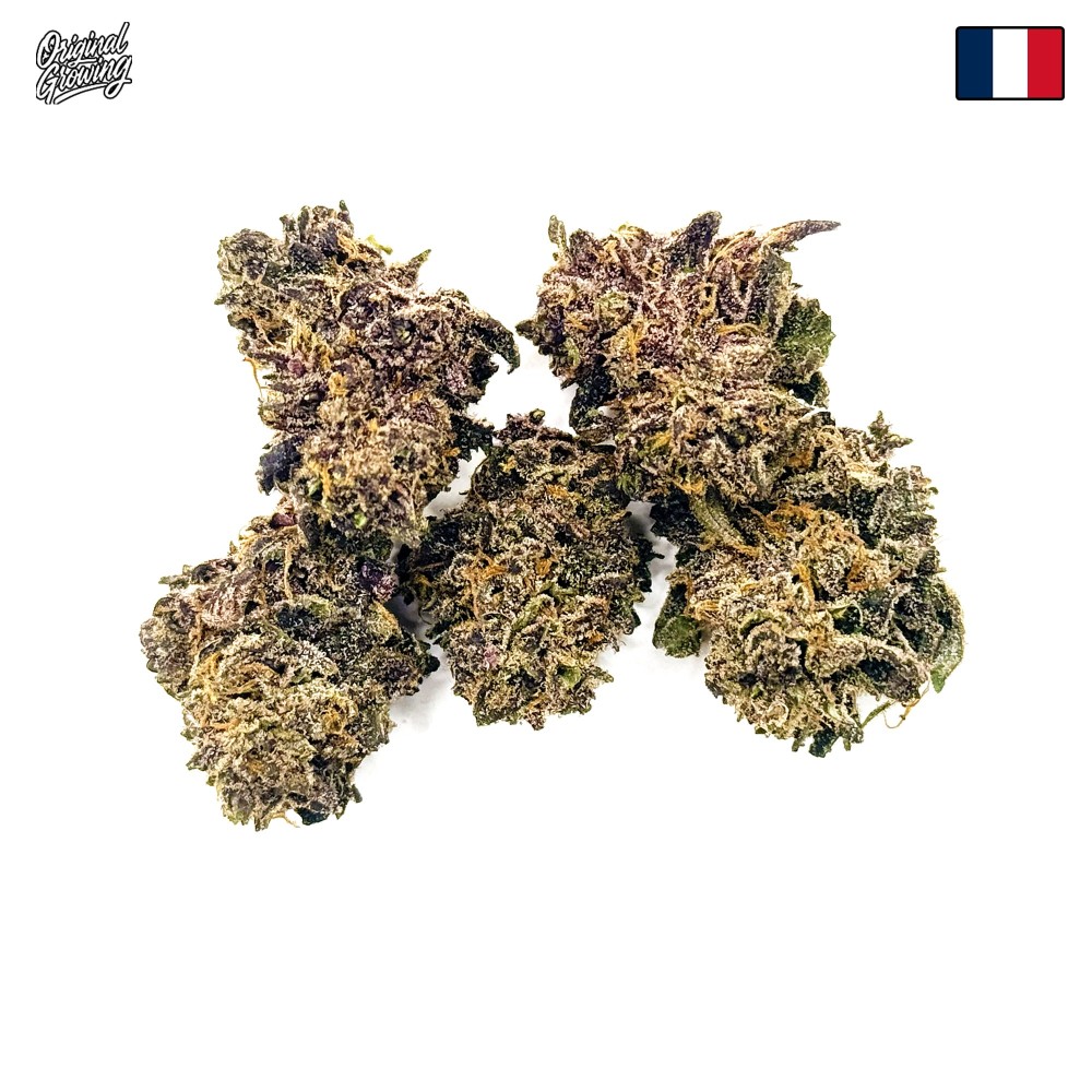 Peach Mintz CBD | Original Growing | Fleur Small Batch en France