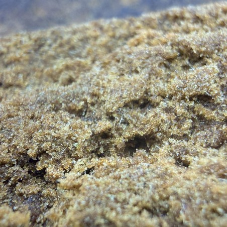 Hash CBD Static HarleQueen | Nima Farm | Small Batch Premium