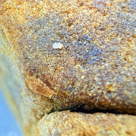 Hash CBD Static HarleQueen | Nima Farm | Small Batch Premium