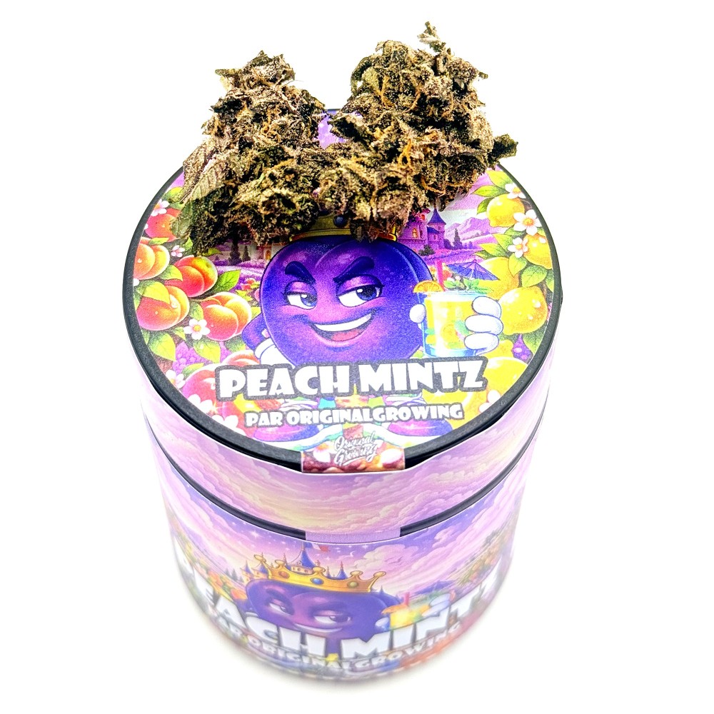 Peach Mintz CBD | Original Growing | Fleur Small Batch en France