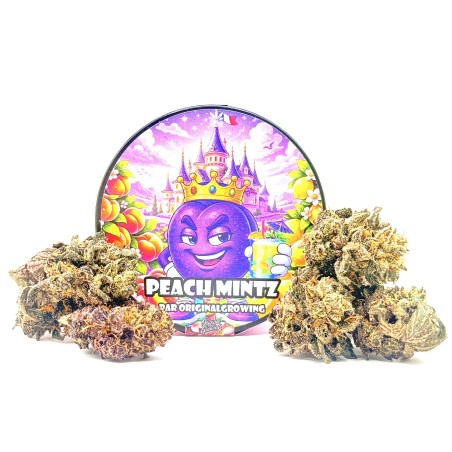 Peach Mintz CBD | Original Growing | Fleur Small Batch en France