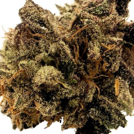 Peach Mintz CBD | Original Growing | Fleur Small Batch en France