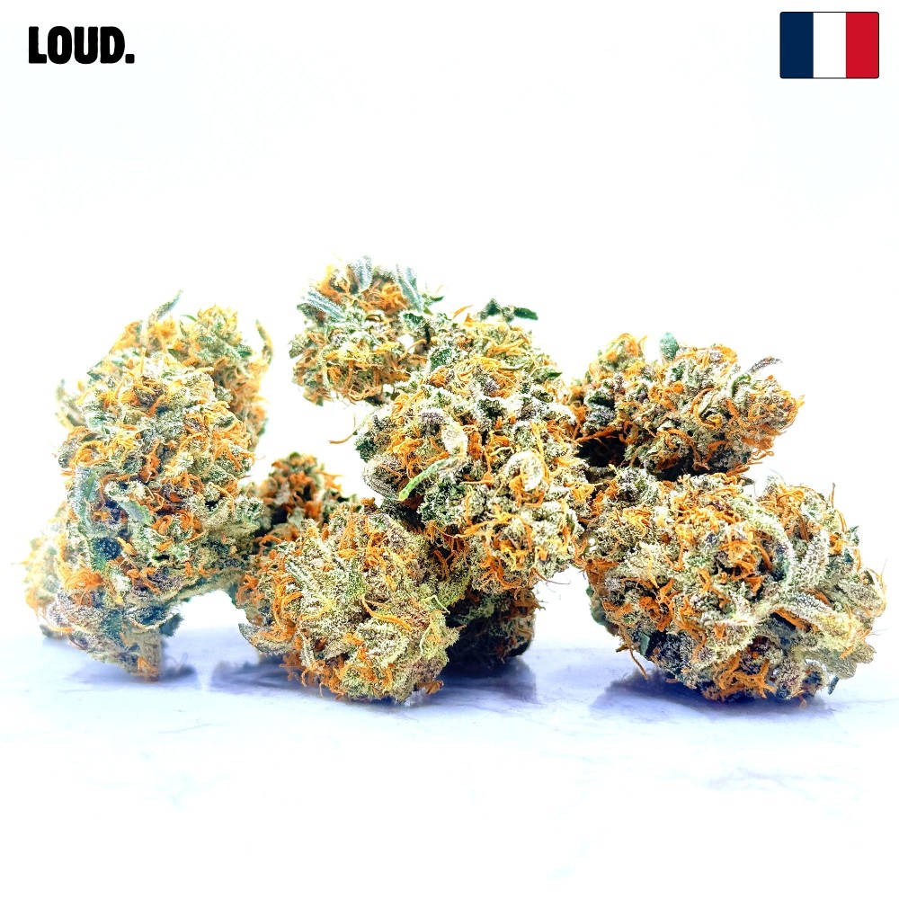 Rainbow Sherbet CBD | Loud Co | Fleur fruitée en sol vivant