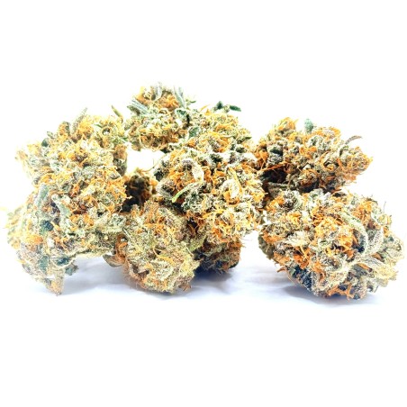 Rainbow Sherbet CBD | Loud Co | Fleur fruitée en sol vivant