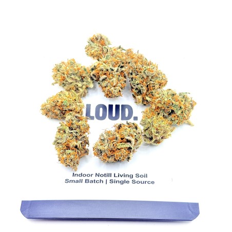 Rainbow Sherbet CBD | Loud Co | Fleur fruitée en sol vivant