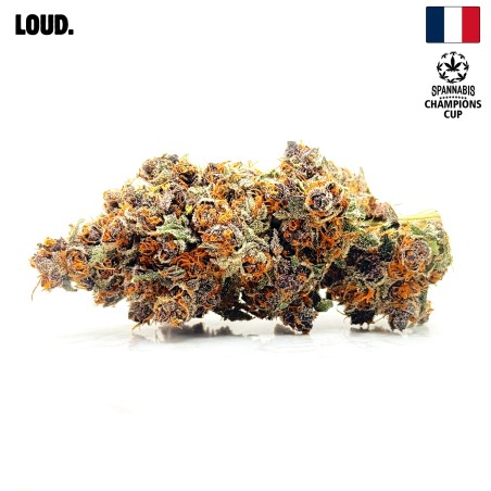 Tarmac v2 CBD | Loud Co | Fleur Diesel premium en sol vivant