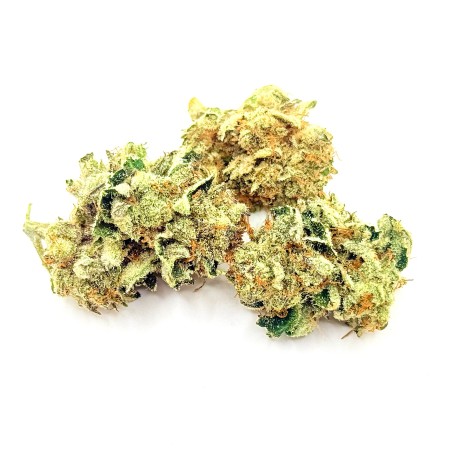 Lemon Candy CBD | Jungle House | Fleur citron en sol vivant