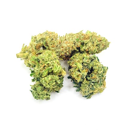 BIGA CBD | Jungle House | Fleur crémeuse premium en sol vivant