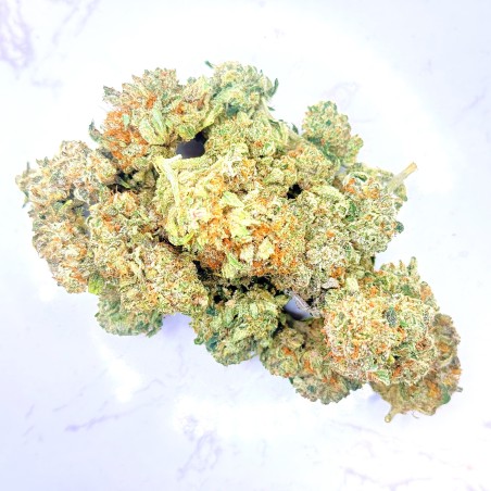 BIGA CBD | Jungle House | Fleur crémeuse premium en sol vivant