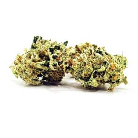 Lemon Candy CBD | Jungle House | Fleur citron en sol vivant