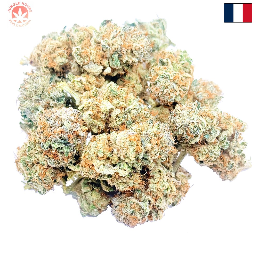 Lemon Candy CBD | Jungle House | Fleur citron en sol vivant