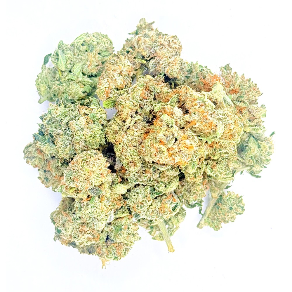 BIGA CBD | Jungle House | Fleur crémeuse premium en sol vivant