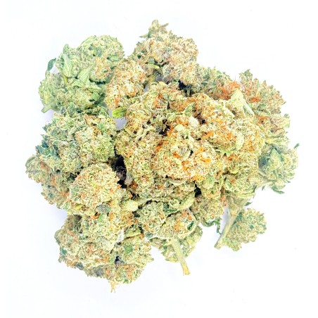 BIGA CBD | Jungle House | Fleur crémeuse premium en sol vivant