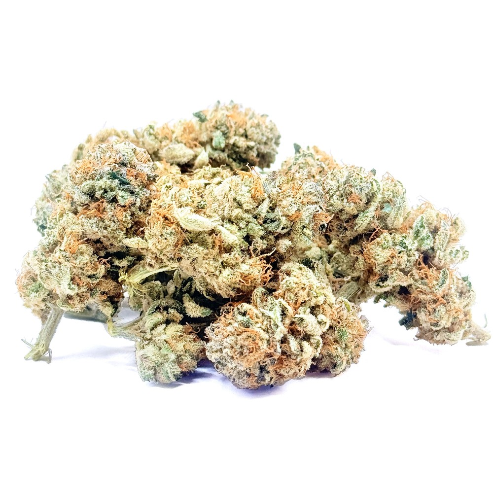 Lemon Candy CBD | Jungle House | Fleur citron en sol vivant