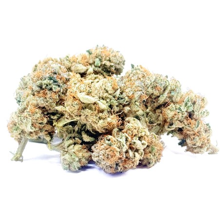 Lemon Candy CBD | Jungle House | Fleur citron en sol vivant