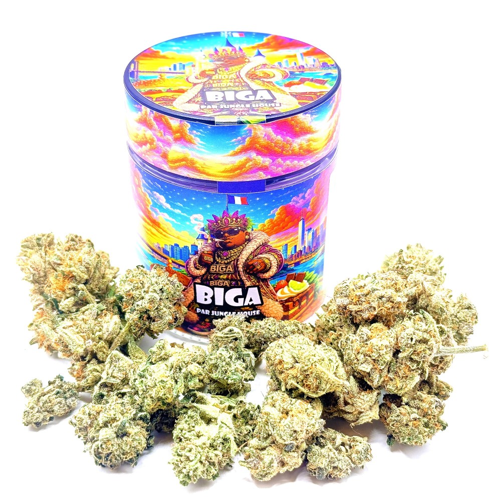 BIGA CBD | Jungle House | Fleur crémeuse premium en sol vivant
