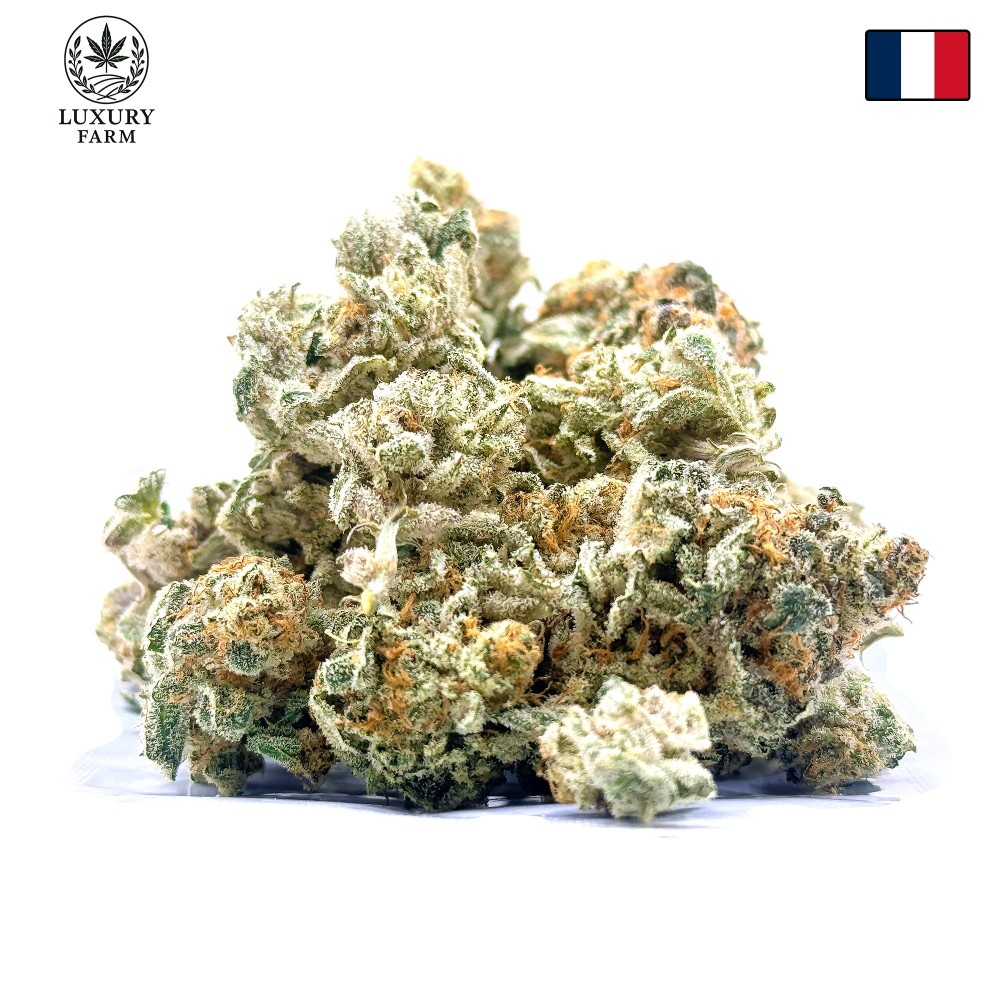 Donut 1 CBD | Fleur indoor de luxe fruitée et épicée