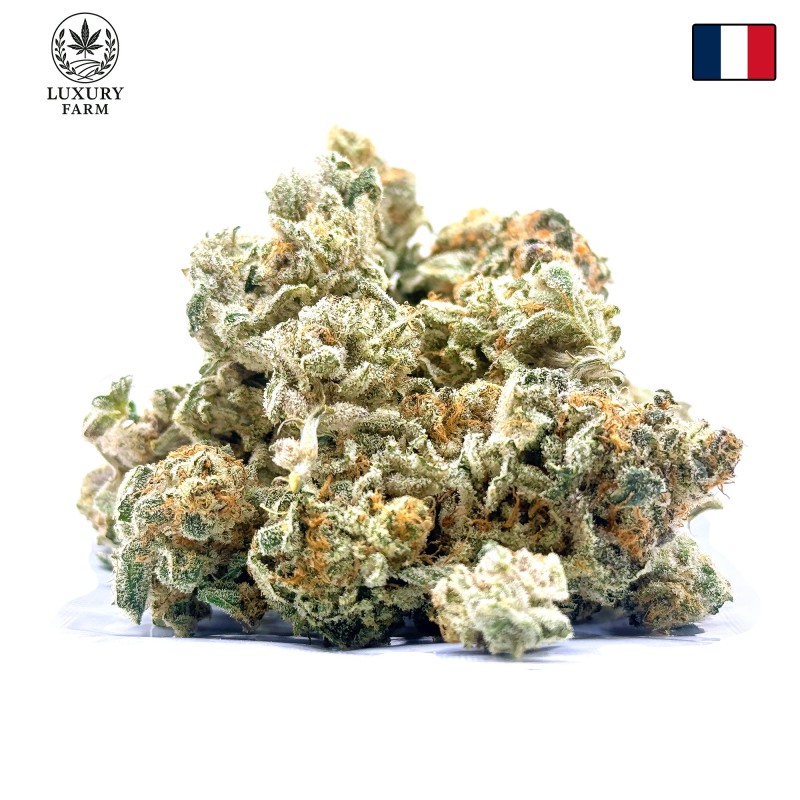Donut 1 CBD | Fleur indoor de luxe fruitée et épicée