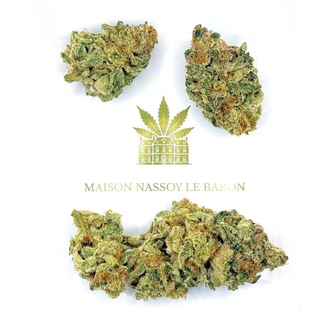 Donut 1 CBD | Fleur indoor de luxe fruitée et épicée