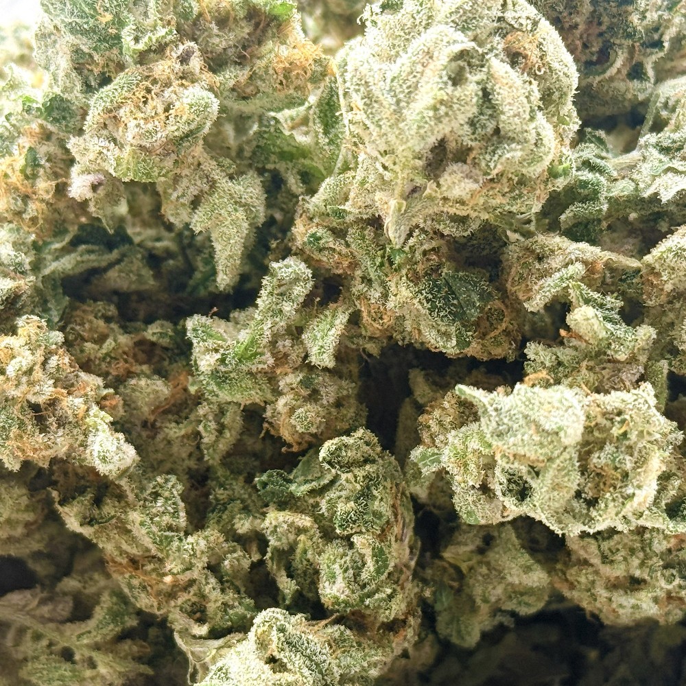 Donut 1 CBD | Fleur indoor de luxe fruitée et épicée