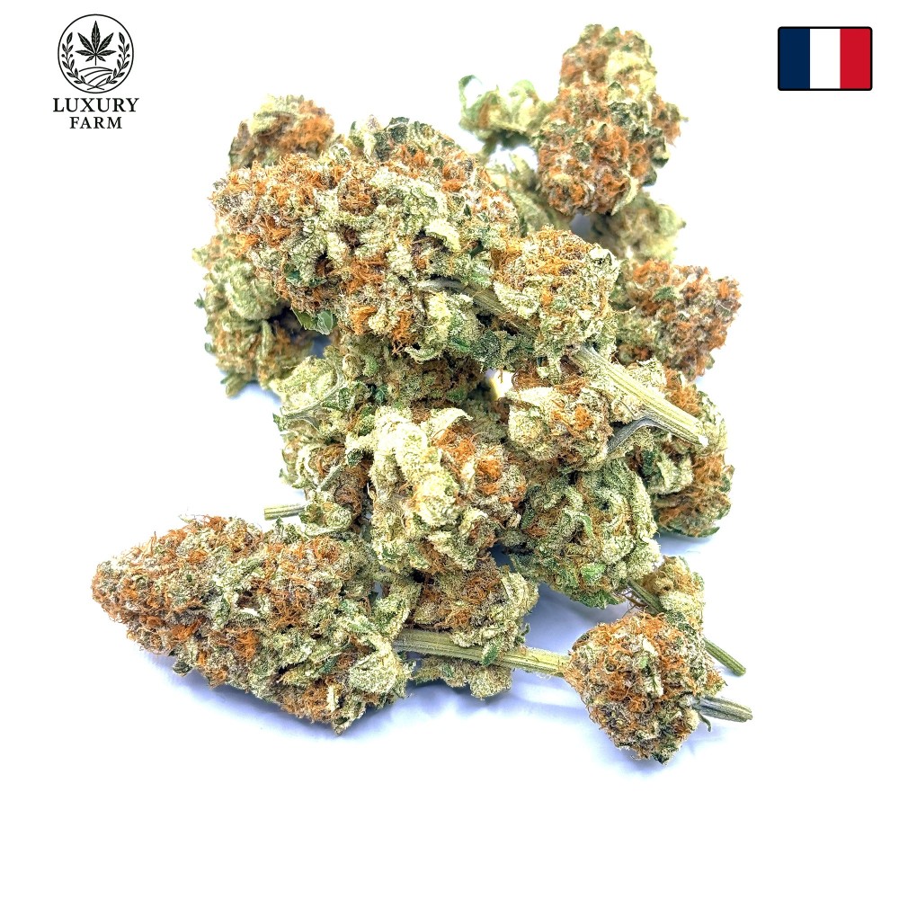 Donut 2 CBD – Fleur indoor de Franche-Comté