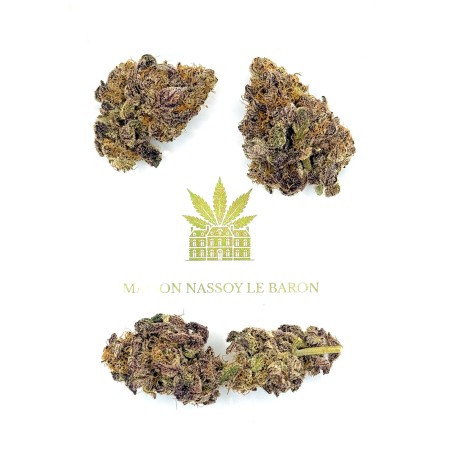 Donut 5 CBD | Fleur indoor par LUXURY FARM