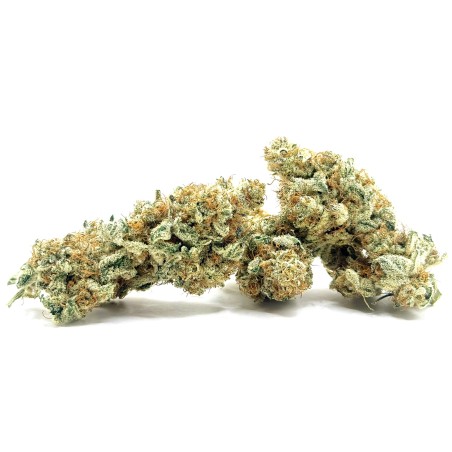 Cookies Kush 5 CBD – Fleur indoor LUXURY FARM