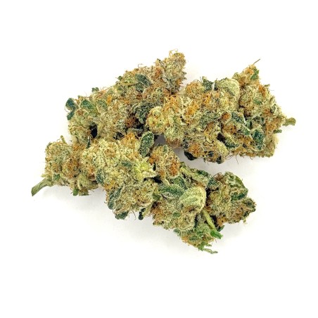 Cookies Kush 4 CBD – Fleur indoor LUXURY FARM