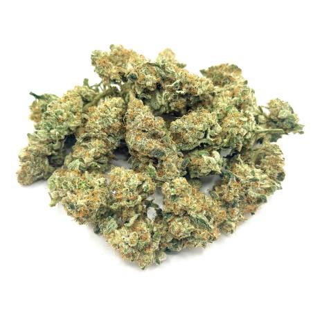 Cookies Kush 4 CBD – Fleur indoor LUXURY FARM