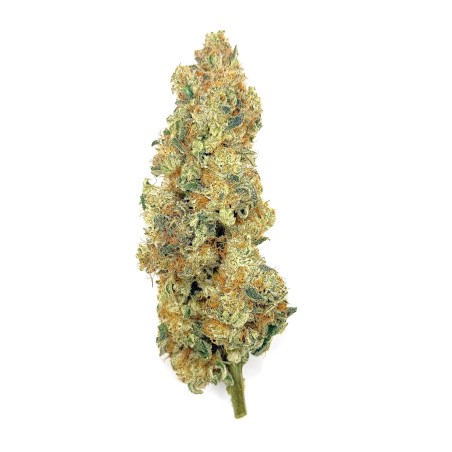 Cookies Kush 4 CBD – Fleur indoor LUXURY FARM