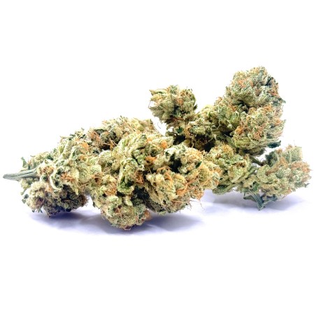 Super Yak 4 CBD – Fleur indoor produite par LUXURY FARM
