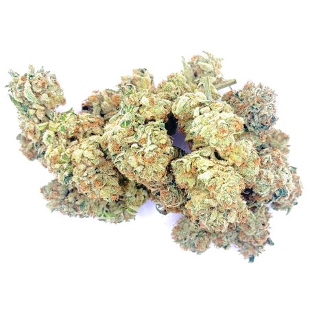 Super Yak 4 CBD – Fleur indoor produite par LUXURY FARM