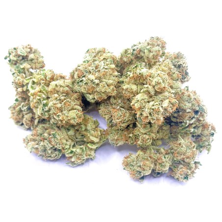 Super Yak 4 CBD – Fleur indoor produite par LUXURY FARM
