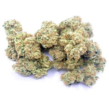 Super Yak 4 CBD – Fleur indoor produite par LUXURY FARM