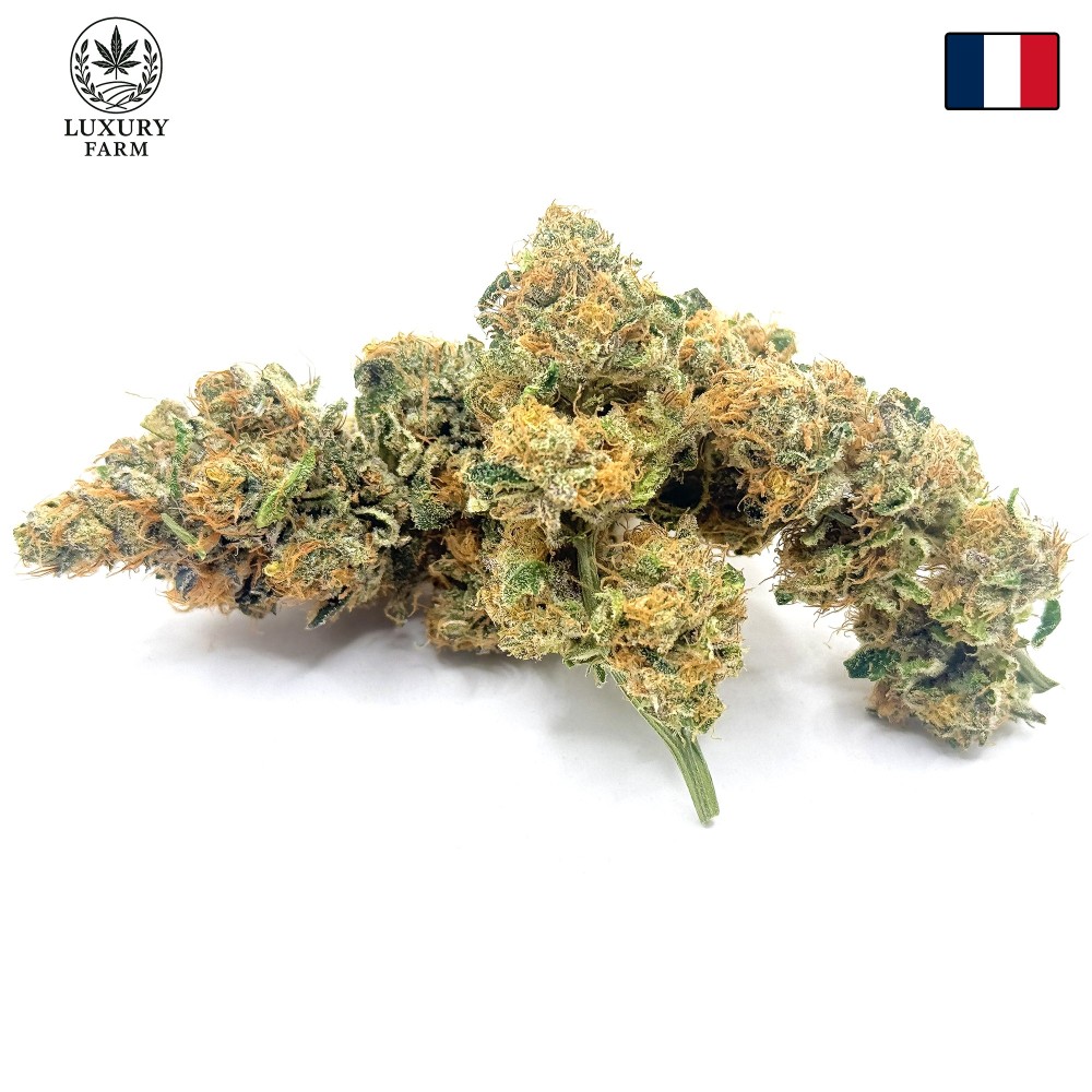 Super Yak 1 CBD – Fleur indoor LUXURY FARM