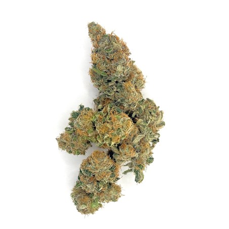 Super Yak 1 CBD – Fleur indoor LUXURY FARM