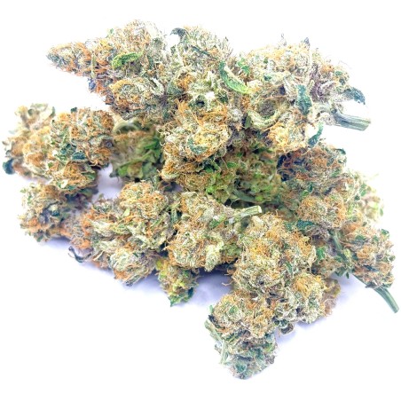 Super Yak 1 CBD – Fleur indoor LUXURY FARM