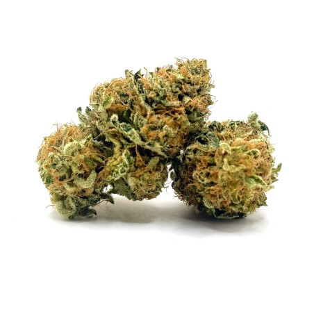 Super Yak 3 CBD – Fleur indoor LUXURY FARM