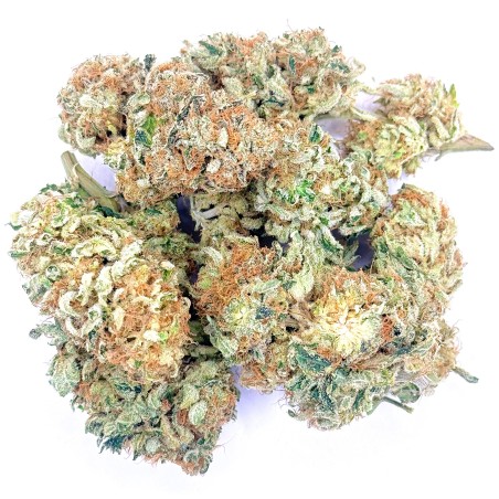 Super Yak 3 CBD – Fleur indoor LUXURY FARM