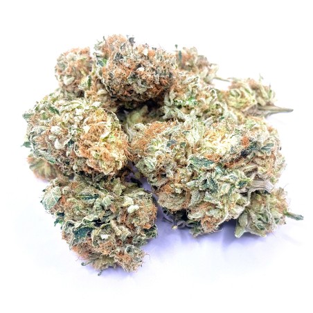 Super Yak 3 CBD – Fleur indoor LUXURY FARM