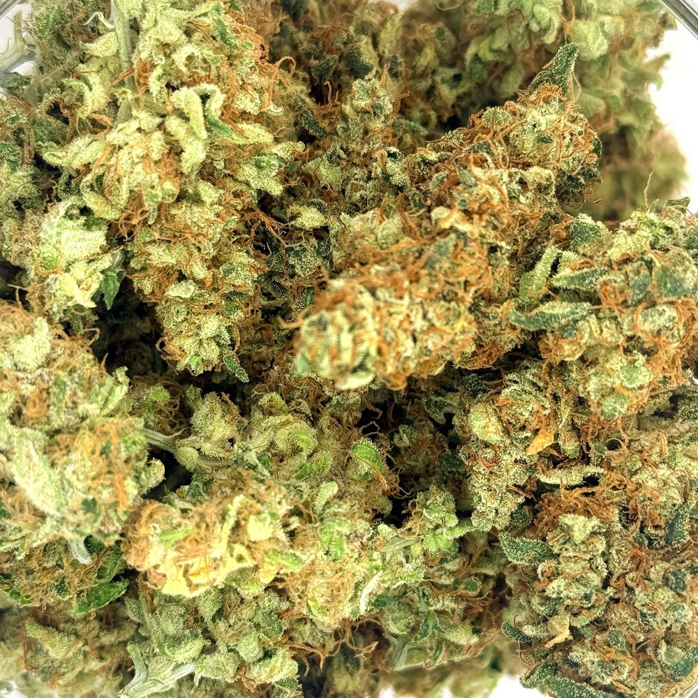 Cookies Kush 3 CBD – Fleur indoor LUXURY FARM