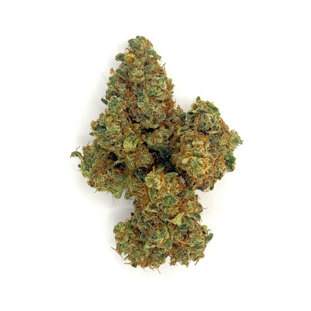 Cookies Kush 3 CBD – Fleur indoor LUXURY FARM
