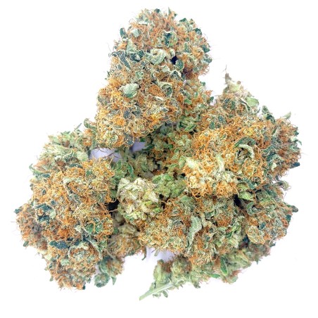 Cookies Kush 1 CBD – Fleur indoor LUXURY FARM